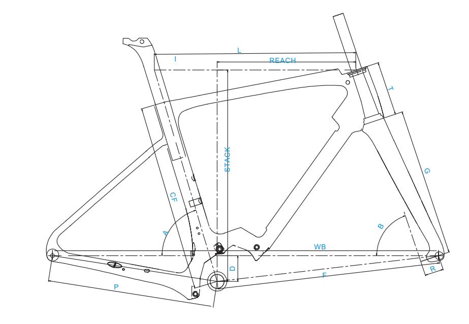 Electric Bike Carbon Frame