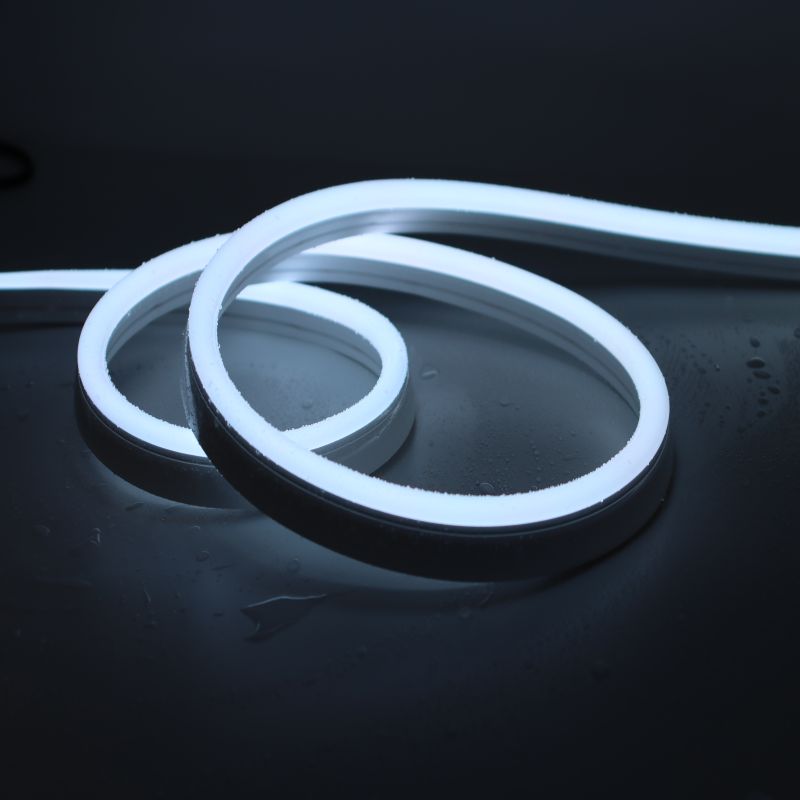 Super Bright Neon LED Lighting Strip Super Bright Neon LED Lighting Strip