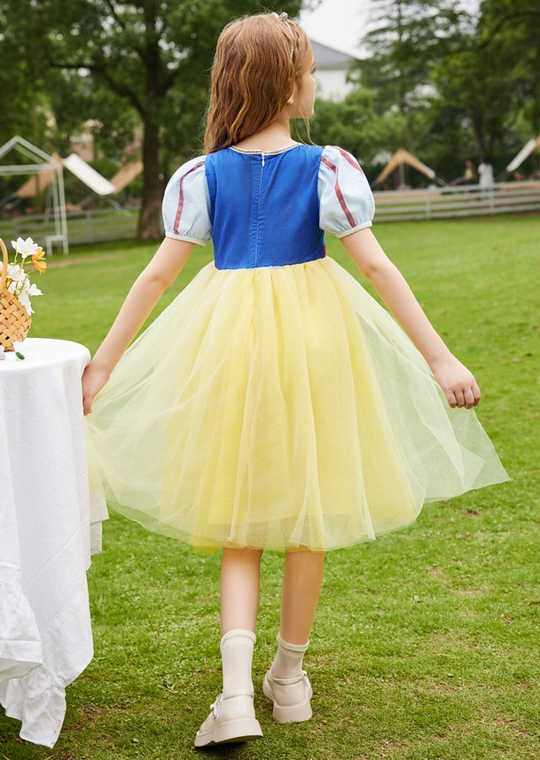 princess dress princess dress