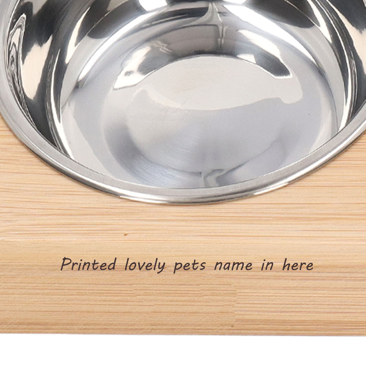 pet bowl