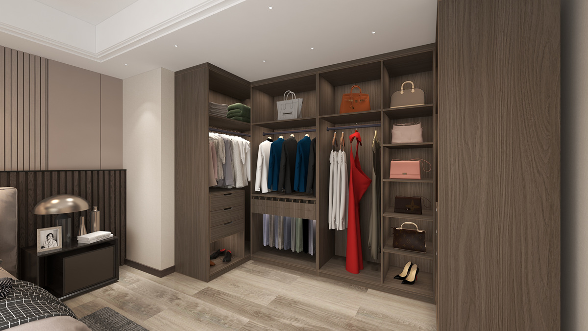 Bedroom Walk-in Closet Design