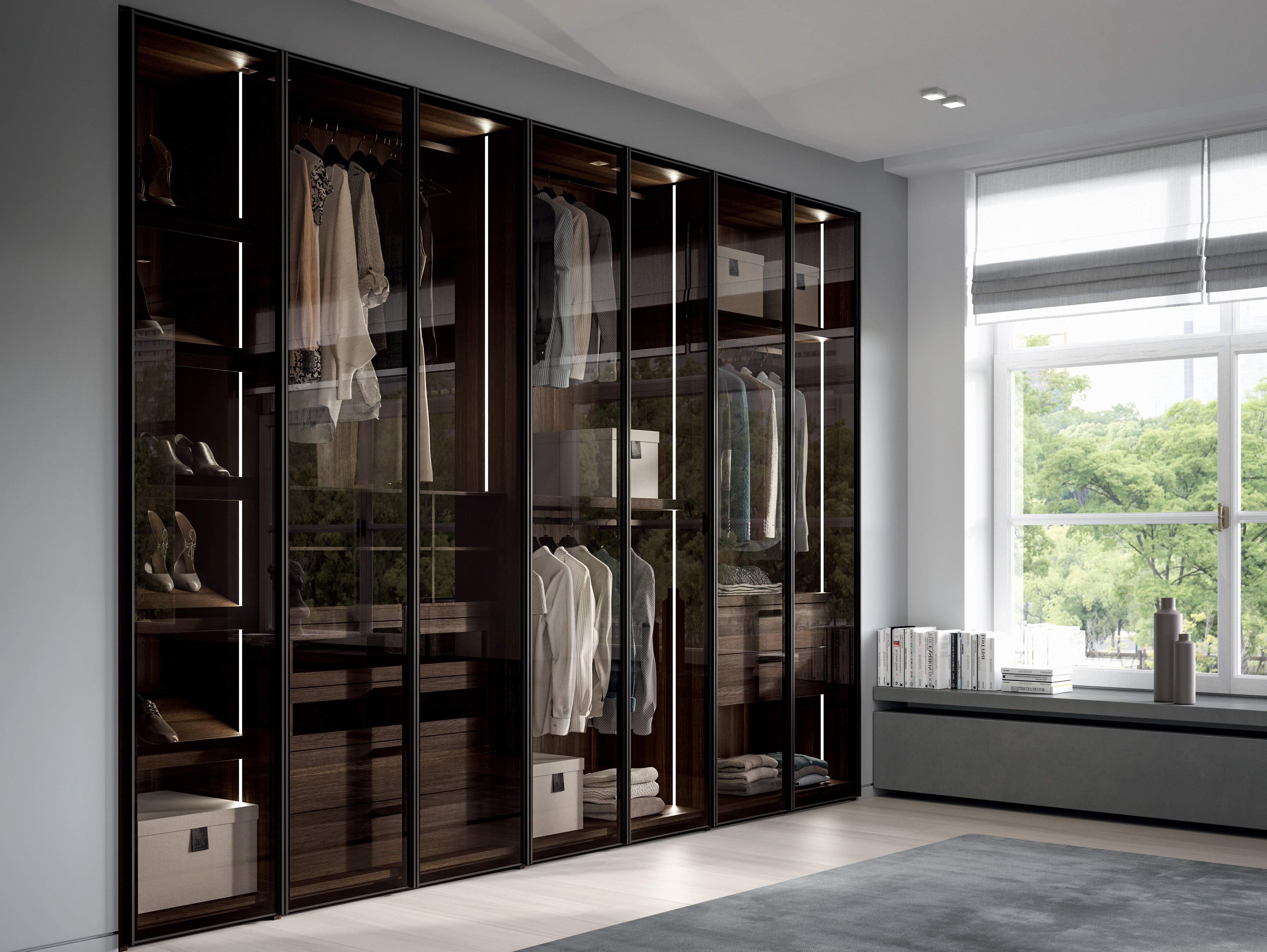 Glass Door Wardrobe