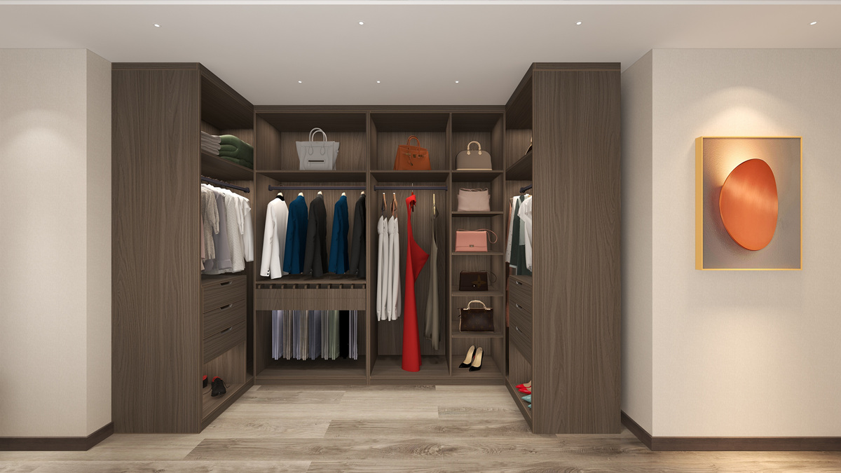 Bedroom Walk-in Closet Design