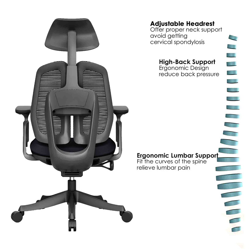 most comfortable ergonomic office chair
