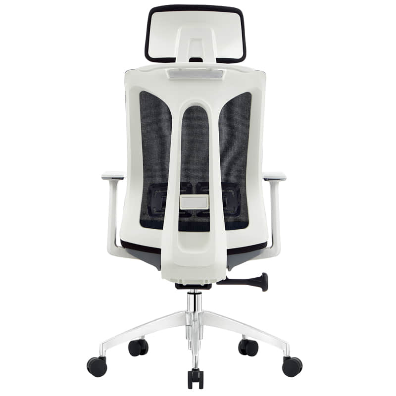 ergonomic office chairs