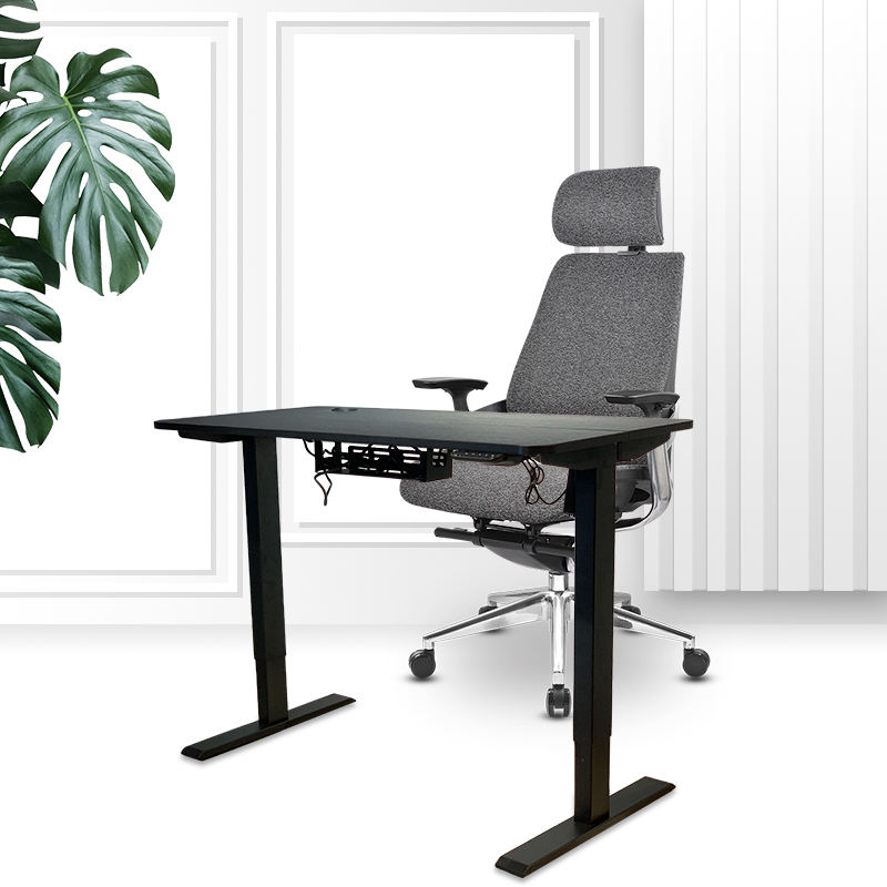 Electric Sit Stand Desk