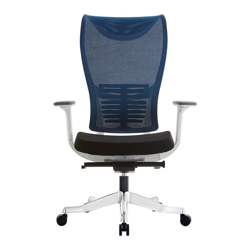 Work Ergonomic Office Chair