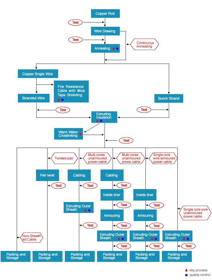 Seebest Testing Process