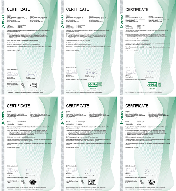 Seebest DEKRA Certificates