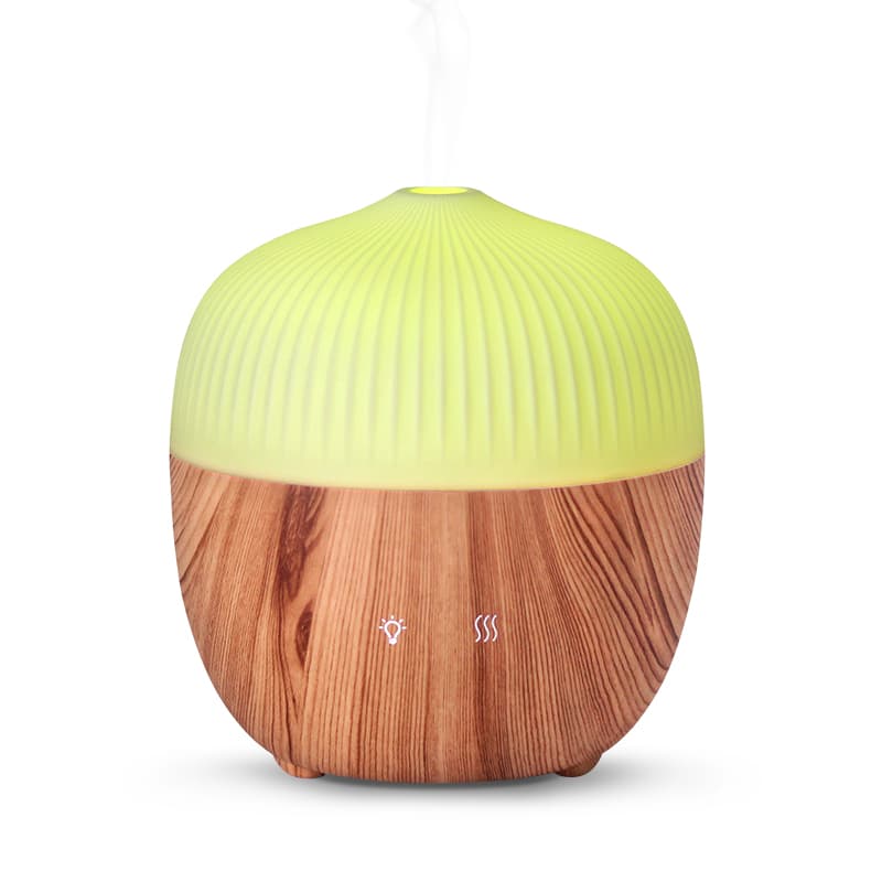 house diffuser humidifier