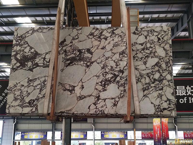 Calacatta Viola Marble Calacatta Viola Marble