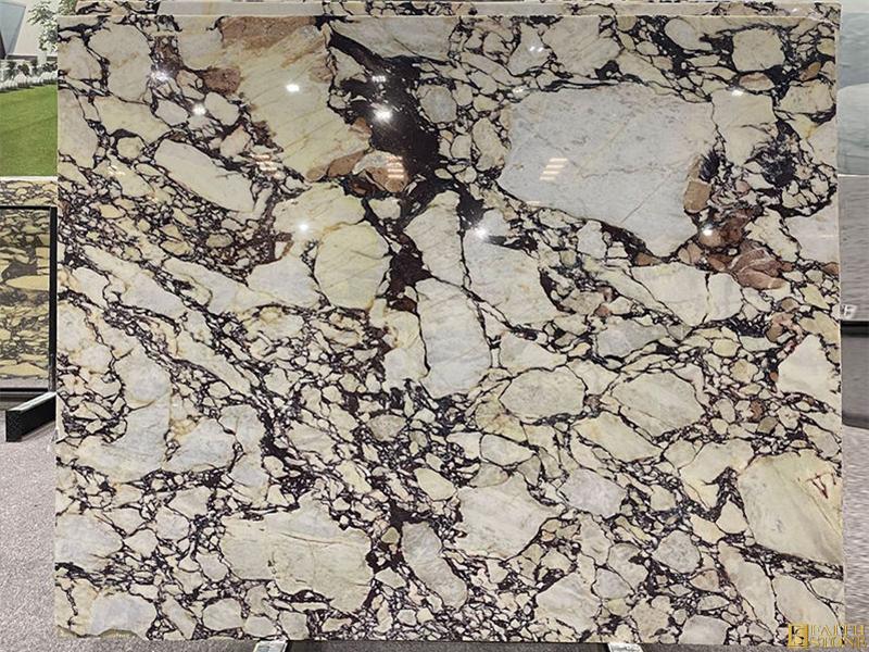 Calacatta Viola Marble Calacatta Viola Marble