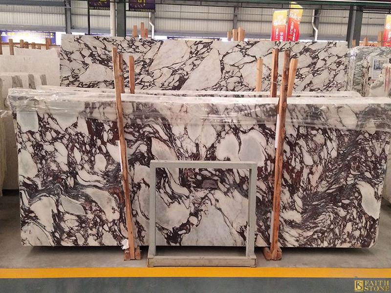 Calacatta Viola Marble Calacatta Viola Marble