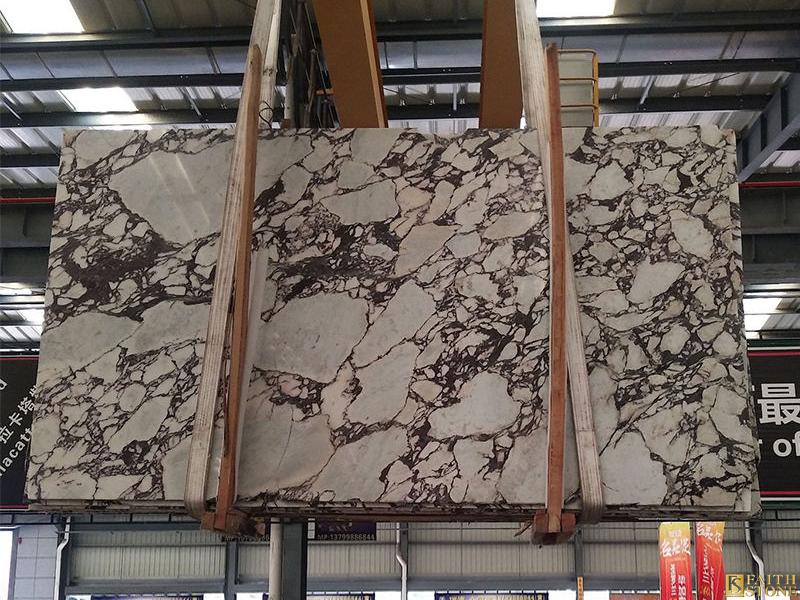 Calacatta Viola Marble Calacatta Viola Marble