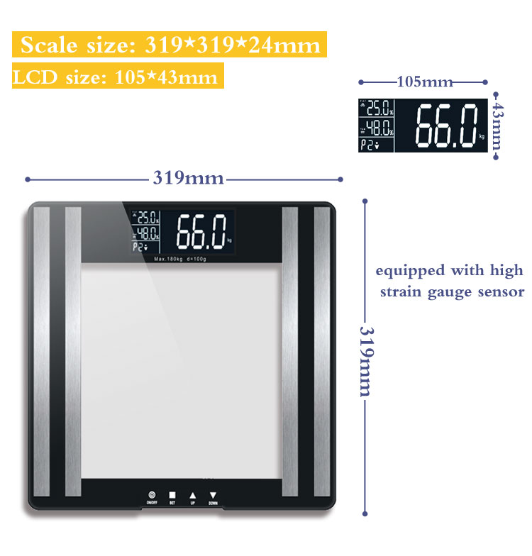 body fat measuring scale