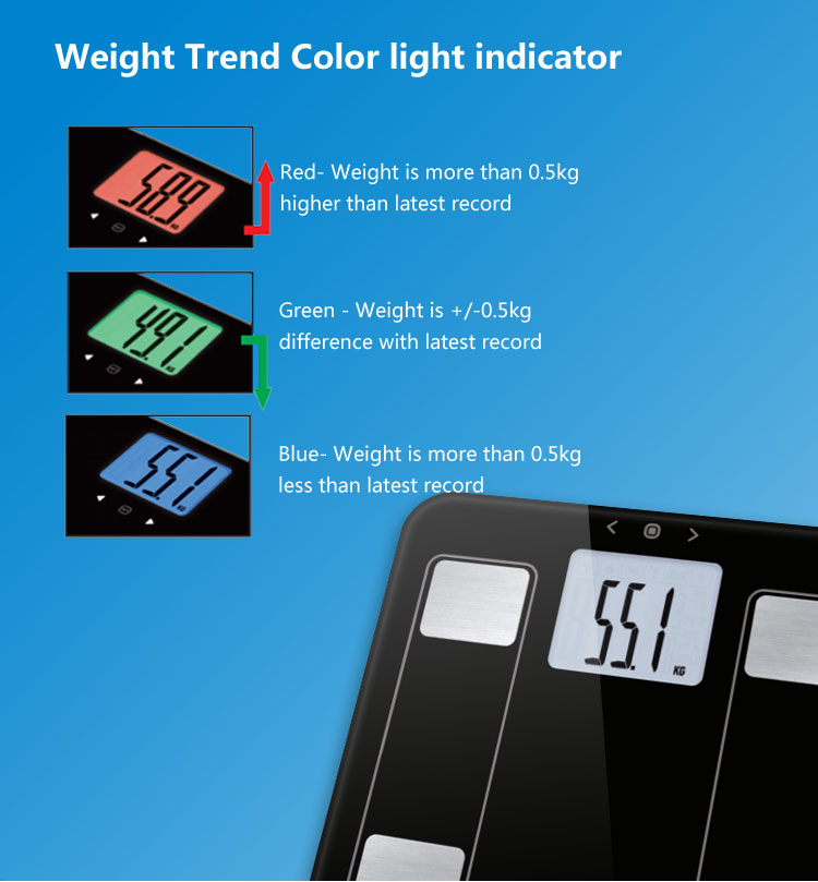 scales for measuring body fat