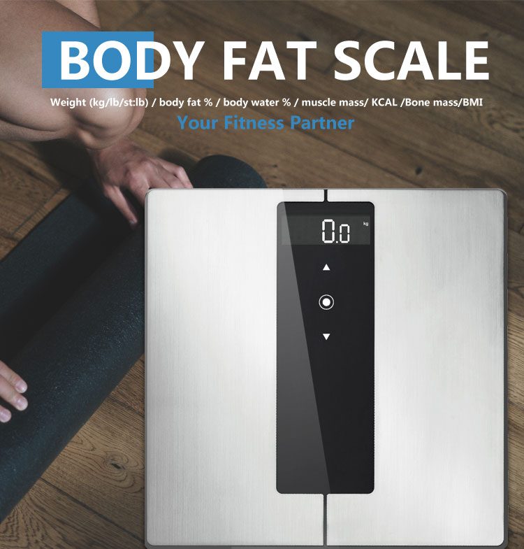 body scale fat and muscles body scale fat and muscles