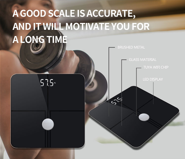 Premium Body Fat for Weight