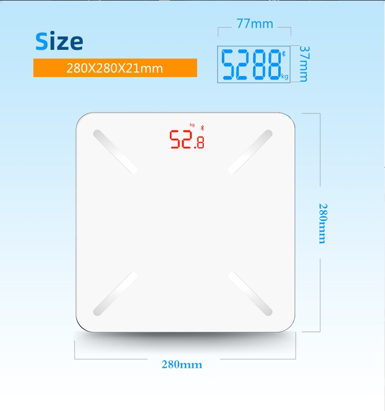 body composition scale