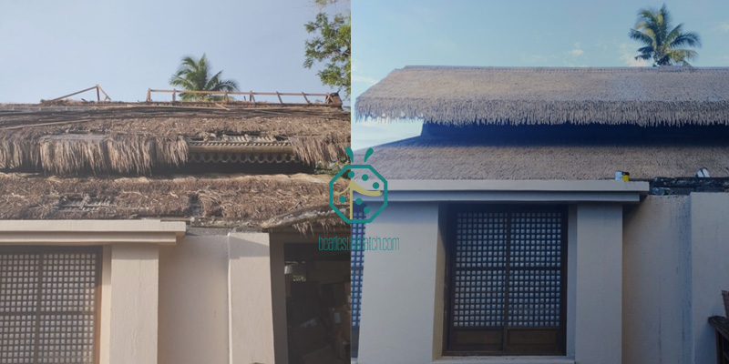 Faux raffia thatch roof VS natural raffia thatch roof for commercial applications