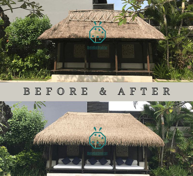 The comparison for natural thatch and PVC thatch roof tiles The comparison for natural thatch and PVC thatch roof tiles