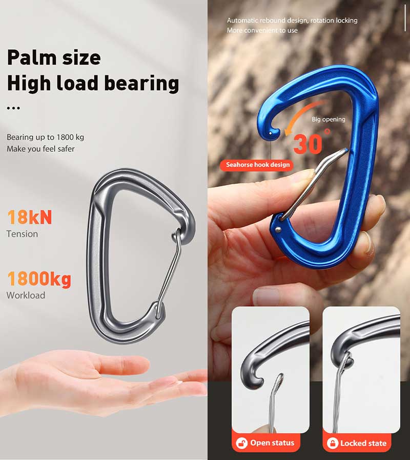 Carabiner Snap Hooks