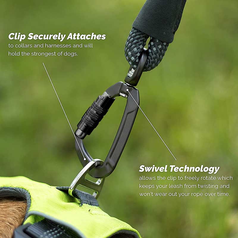 Carabiner for dog Carabiner for dog