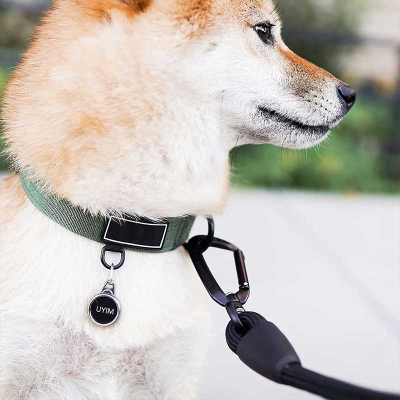 Carabiner for dog Carabiner for dog
