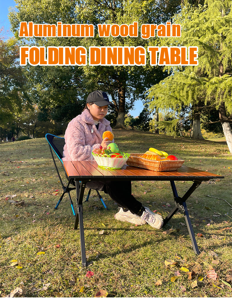 Folding Table 