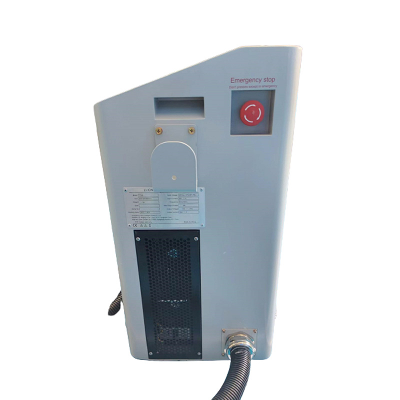 Lithium battery smart charger