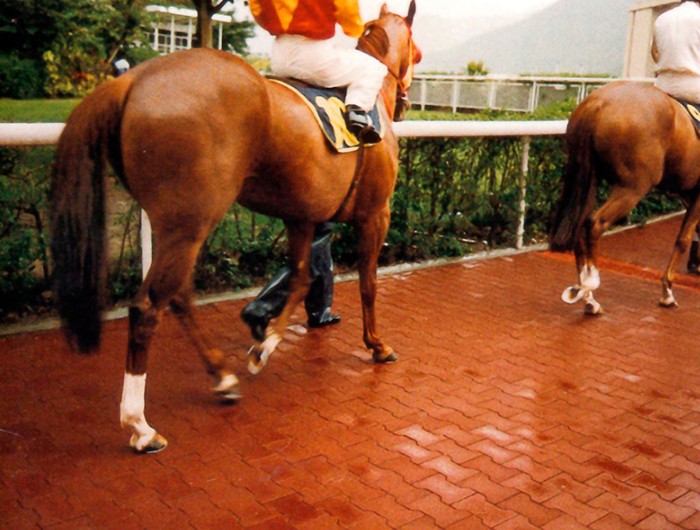 Rubber Interlocking Pavers Rubber Interlocking Pavers