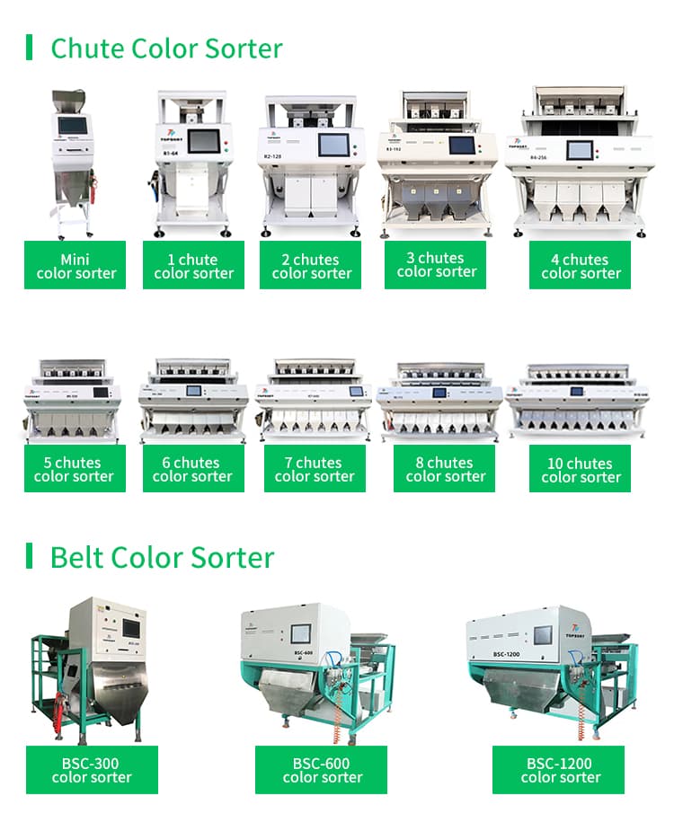 blueberry color sorter