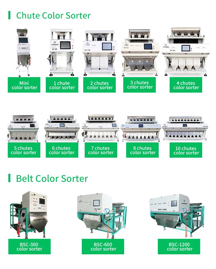 colour sorting equipment