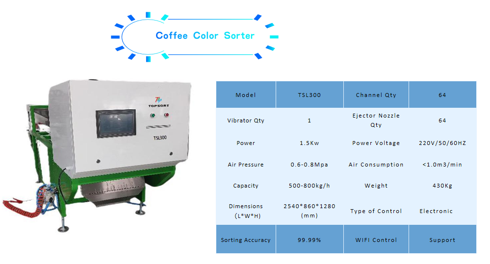 coffee beans belt color sorter