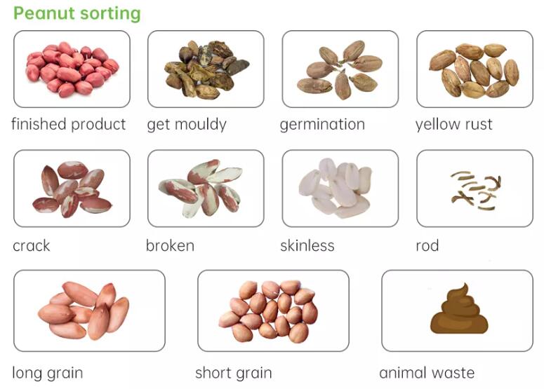 peanut sorting machine peanut sorting machine