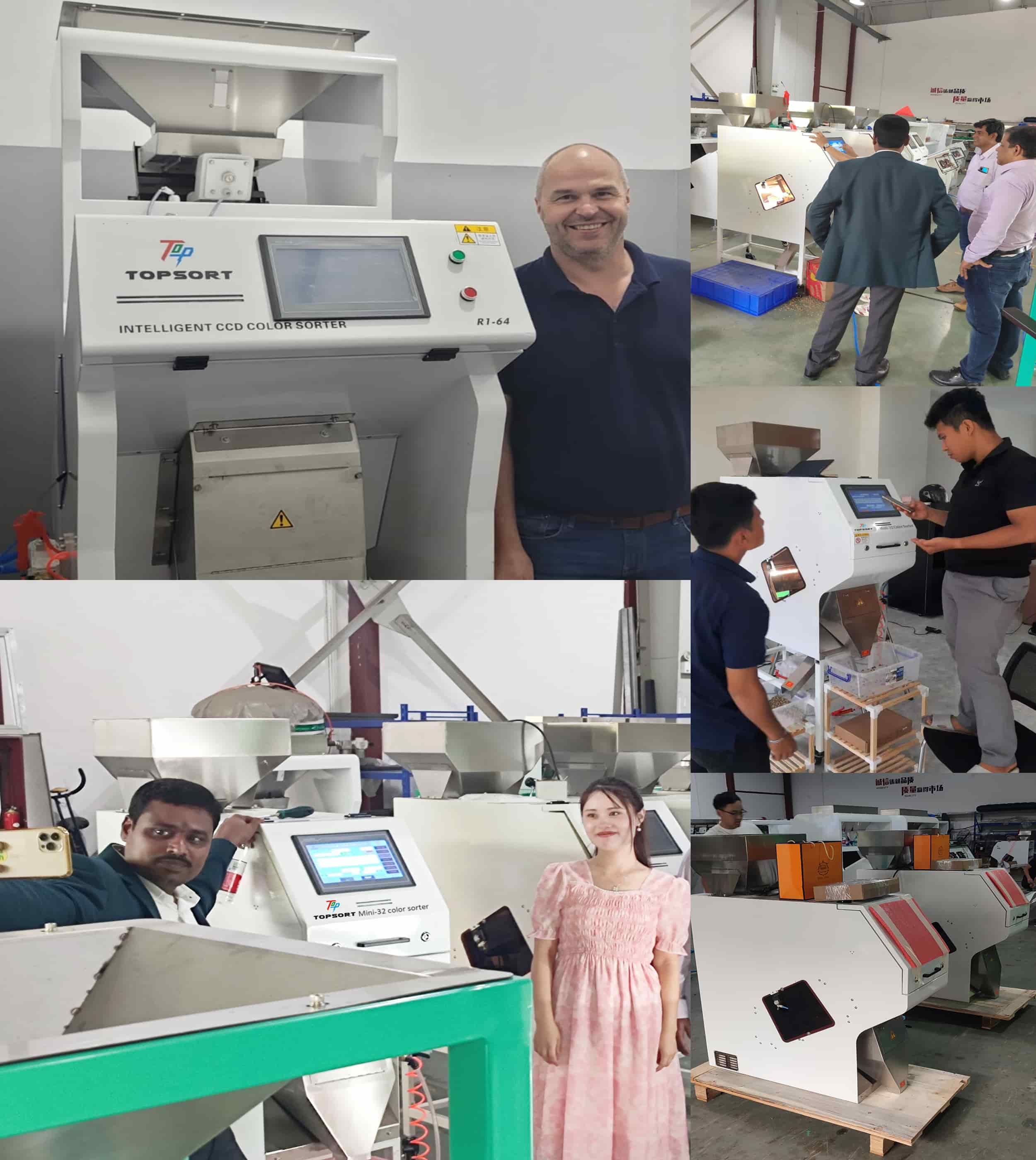 color sorters color sorters