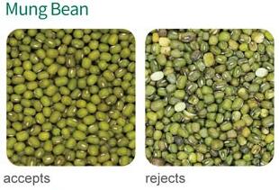 green mung bean color sorter