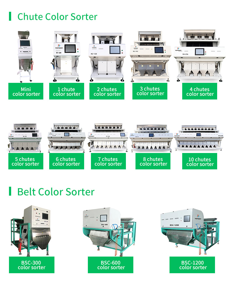 grain color sorter 