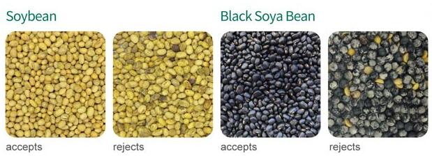 soybean color selector machine