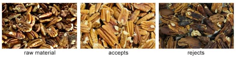 pecan sorting machine