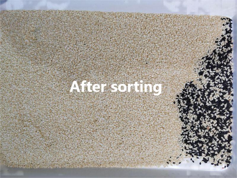 sesame color sorting machine sesame color sorting machine