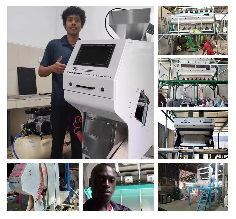 color sorting equipment color sorting equipment
