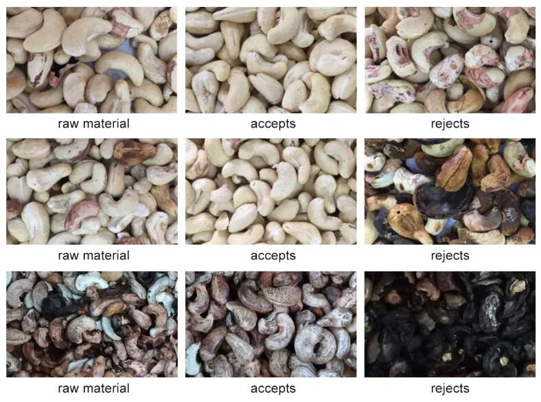 cashew nut color sorting machine