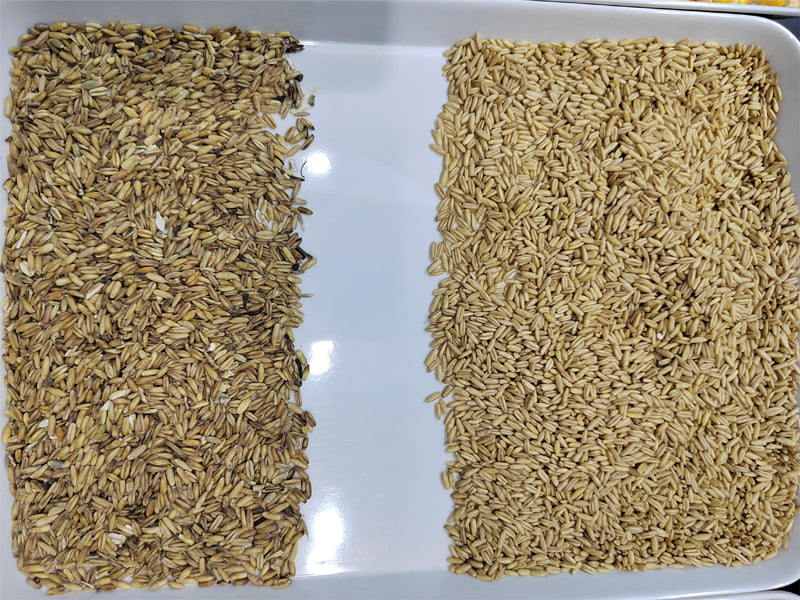 grain color sorter for sale grain color sorter for sale