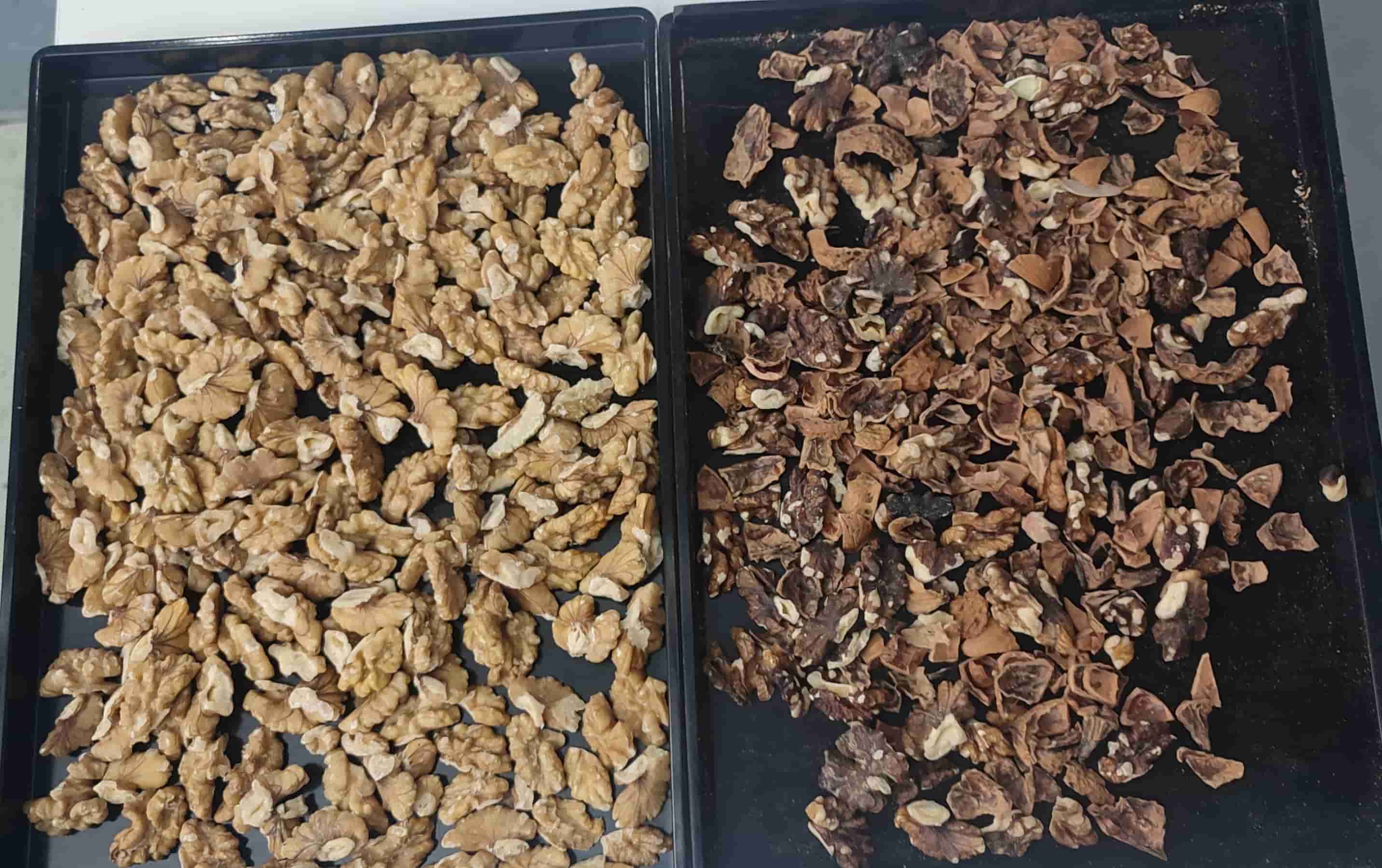 walnut color sorting machine walnut color sorting machine