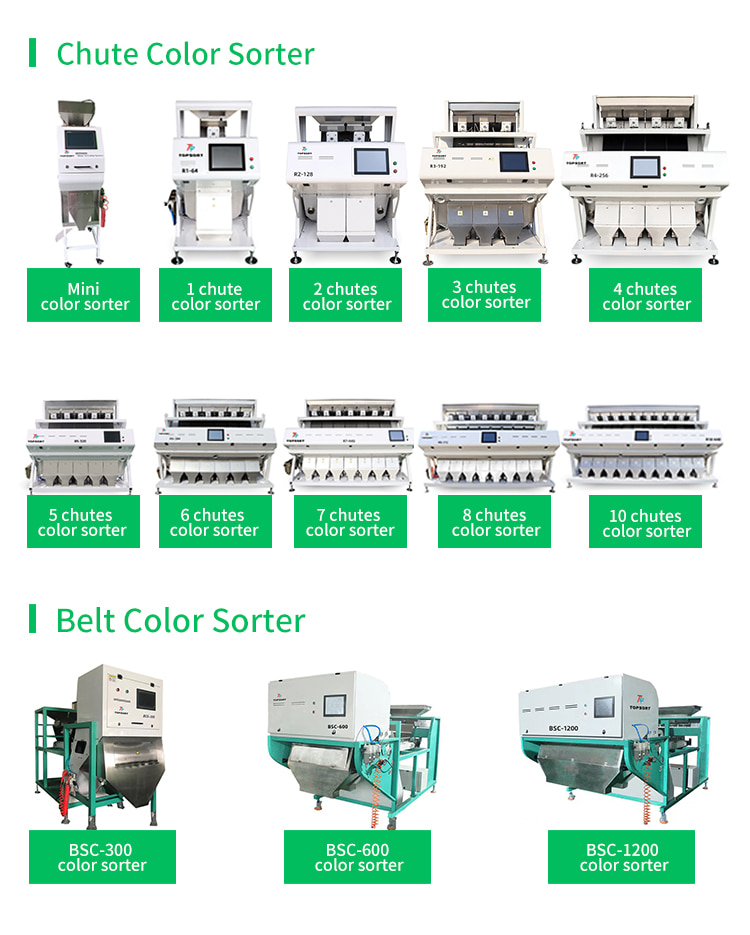 rice color sorter machine