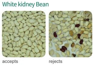 bean sorter