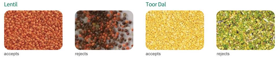 lentil color sorter