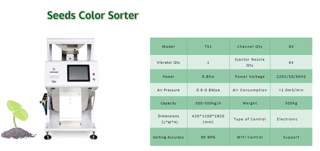 color sorter application