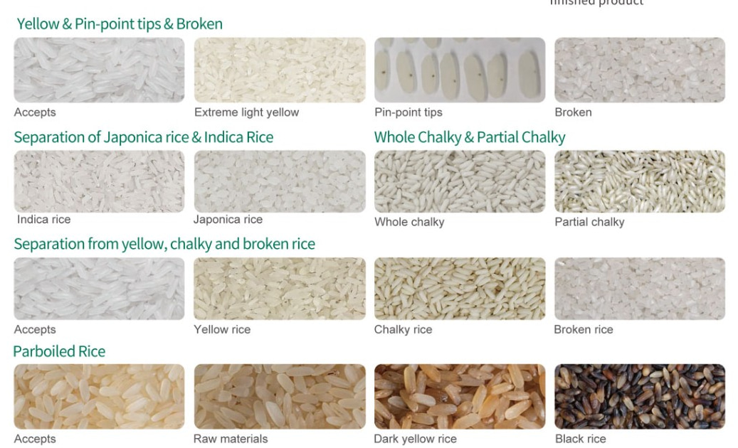 rice color sorter manufacturer in china
